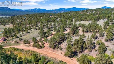 Photo of 163 Valley View Drive, Florissant, CO 80816 (MLS # 9141776)
