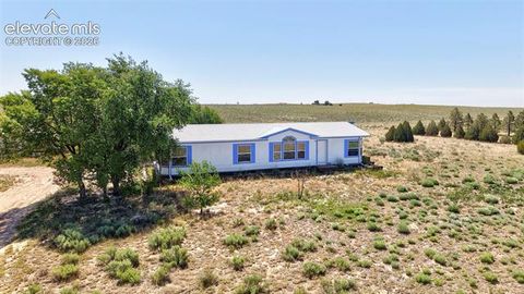 Photo of 13860 Hobby Horse Lane, Colorado Springs, CO 80928 (MLS # 9832811)