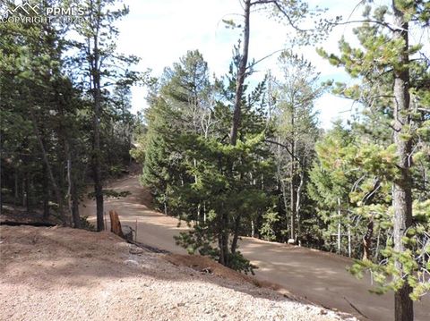 Tiny photo for 180 Potlatch Trail, Woodland Park, CO 80863 (MLS # 6414964)