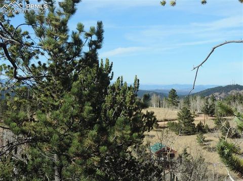 Tiny photo for 180 Potlatch Trail, Woodland Park, CO 80863 (MLS # 6414964)