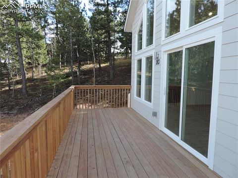 Tiny photo for 180 Potlatch Trail, Woodland Park, CO 80863 (MLS # 6414964)