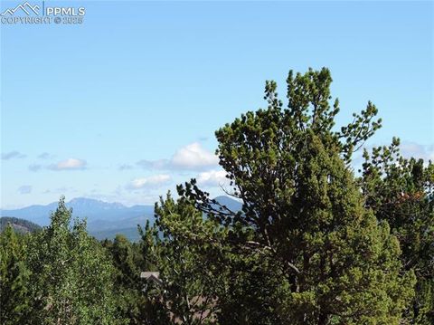 Tiny photo for 180 Potlatch Trail, Woodland Park, CO 80863 (MLS # 6414964)