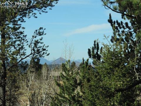 Tiny photo for 180 Potlatch Trail, Woodland Park, CO 80863 (MLS # 6414964)