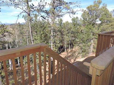 Tiny photo for 180 Potlatch Trail, Woodland Park, CO 80863 (MLS # 6414964)