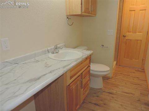 Tiny photo for 180 Potlatch Trail, Woodland Park, CO 80863 (MLS # 6414964)