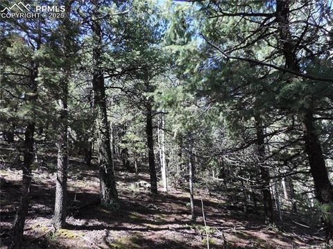 Tiny photo for 180 Potlatch Trail, Woodland Park, CO 80863 (MLS # 6414964)