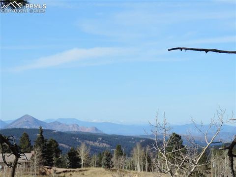 Tiny photo for 180 Potlatch Trail, Woodland Park, CO 80863 (MLS # 6414964)