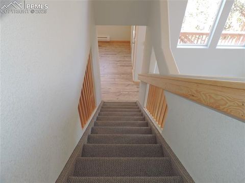 Tiny photo for 180 Potlatch Trail, Woodland Park, CO 80863 (MLS # 6414964)