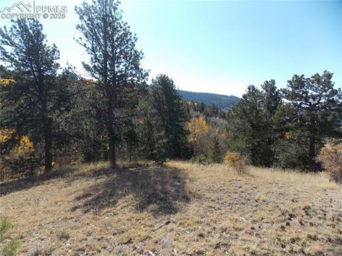 Photo of 1944 May Queen Drive, Cripple Creek, CO 80813 (MLS # 3087684)