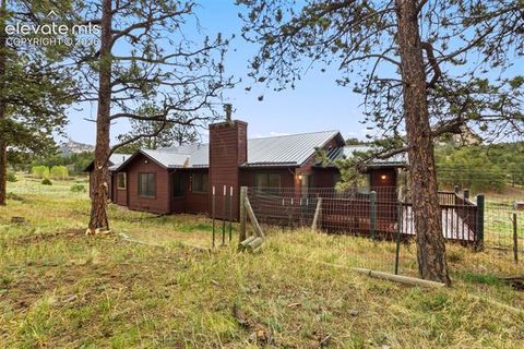 Tiny photo for 51 Carriage Drive, Florissant, CO 80816 (MLS # 9972576)