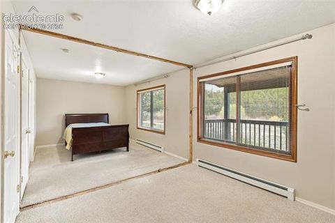 Tiny photo for 51 Carriage Drive, Florissant, CO 80816 (MLS # 9972576)