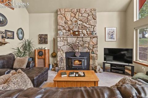 Tiny photo for 938 Spring Valley Lane, Florissant, CO 80816 (MLS # 3038941)