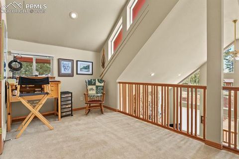 Tiny photo for 938 Spring Valley Lane, Florissant, CO 80816 (MLS # 3038941)
