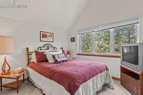 Tiny photo for 938 Spring Valley Lane, Florissant, CO 80816 (MLS # 3038941)