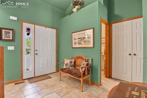 Tiny photo for 938 Spring Valley Lane, Florissant, CO 80816 (MLS # 3038941)