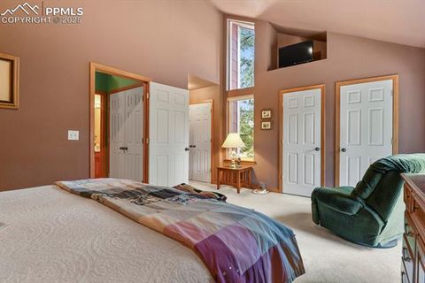 Tiny photo for 938 Spring Valley Lane, Florissant, CO 80816 (MLS # 3038941)
