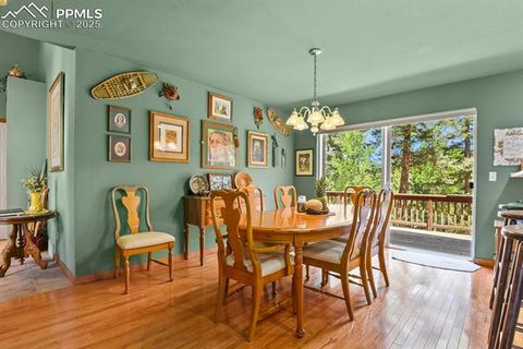 Tiny photo for 938 Spring Valley Lane, Florissant, CO 80816 (MLS # 3038941)