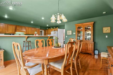 Tiny photo for 938 Spring Valley Lane, Florissant, CO 80816 (MLS # 3038941)