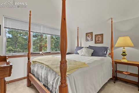 Tiny photo for 938 Spring Valley Lane, Florissant, CO 80816 (MLS # 3038941)
