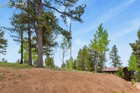 Tiny photo for 938 Spring Valley Lane, Florissant, CO 80816 (MLS # 3038941)