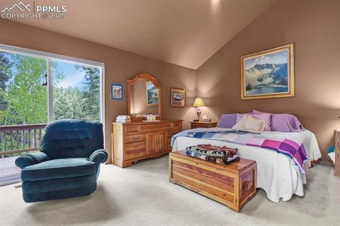 Tiny photo for 938 Spring Valley Lane, Florissant, CO 80816 (MLS # 3038941)