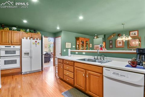 Tiny photo for 938 Spring Valley Lane, Florissant, CO 80816 (MLS # 3038941)