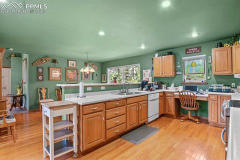 Tiny photo for 938 Spring Valley Lane, Florissant, CO 80816 (MLS # 3038941)