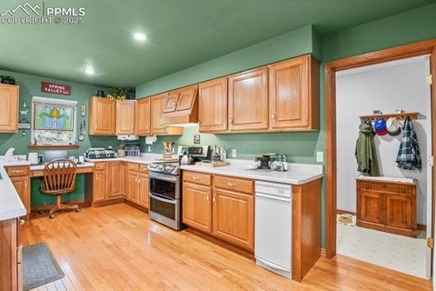 Tiny photo for 938 Spring Valley Lane, Florissant, CO 80816 (MLS # 3038941)