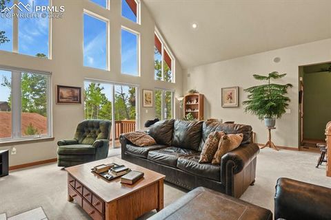 Tiny photo for 938 Spring Valley Lane, Florissant, CO 80816 (MLS # 3038941)