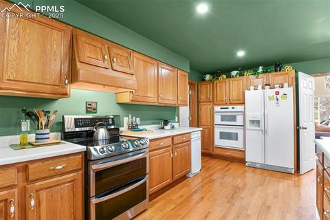 Tiny photo for 938 Spring Valley Lane, Florissant, CO 80816 (MLS # 3038941)
