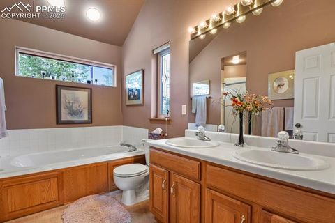 Tiny photo for 938 Spring Valley Lane, Florissant, CO 80816 (MLS # 3038941)