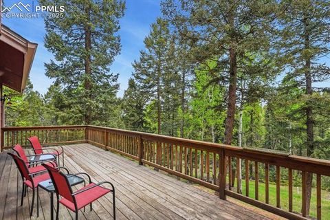 Tiny photo for 938 Spring Valley Lane, Florissant, CO 80816 (MLS # 3038941)