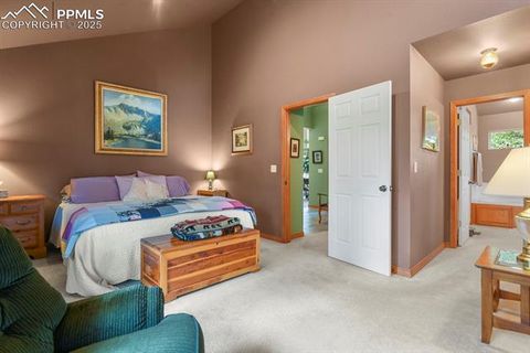 Tiny photo for 938 Spring Valley Lane, Florissant, CO 80816 (MLS # 3038941)