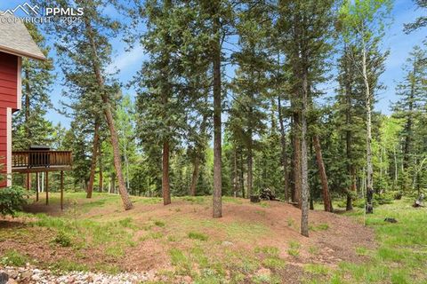 Tiny photo for 938 Spring Valley Lane, Florissant, CO 80816 (MLS # 3038941)