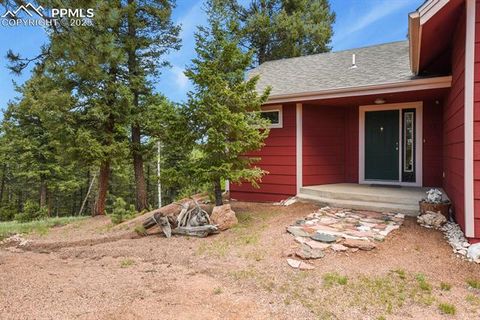 Tiny photo for 938 Spring Valley Lane, Florissant, CO 80816 (MLS # 3038941)