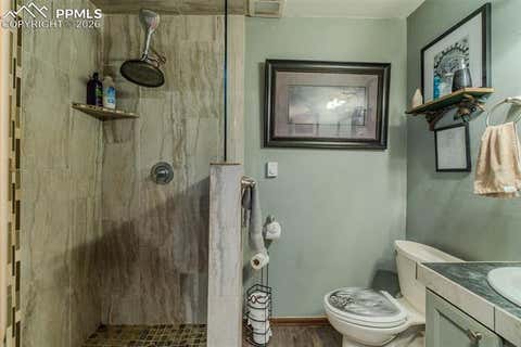 Tiny photo for 595 High Pasture Road, Florissant, CO 80816 (MLS # 8807094)