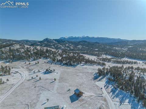 Tiny photo for 595 High Pasture Road, Florissant, CO 80816 (MLS # 8807094)