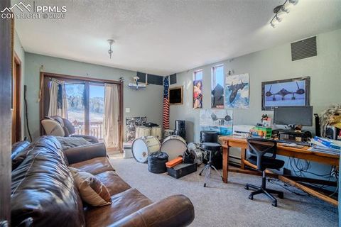 Tiny photo for 595 High Pasture Road, Florissant, CO 80816 (MLS # 8807094)