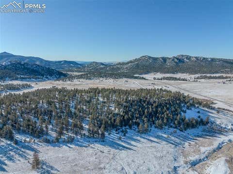 Tiny photo for 595 High Pasture Road, Florissant, CO 80816 (MLS # 8807094)