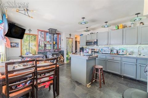 Tiny photo for 595 High Pasture Road, Florissant, CO 80816 (MLS # 8807094)