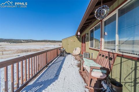 Tiny photo for 595 High Pasture Road, Florissant, CO 80816 (MLS # 8807094)