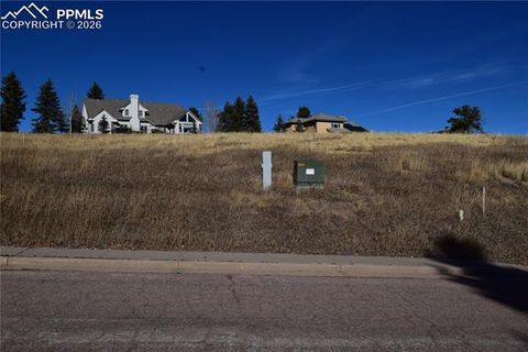 Photo of 108 Allison Place, Divide, CO 80814 (MLS # 7056226)
