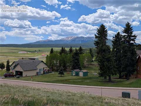 Photo of 108 Allison Place, Divide, CO 80814 (MLS # 7056226)
