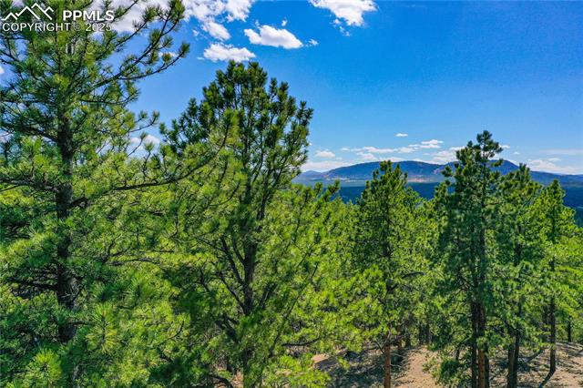 994 Pikes Peak Drive
