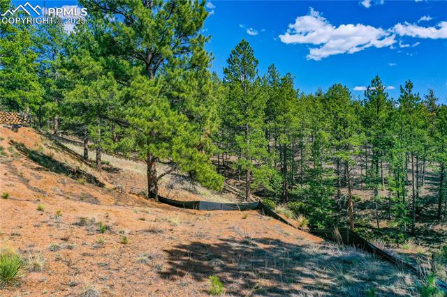 994 Pikes Peak Drive