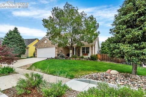 8005 Potomac Drive Colorado Springs CO 80920