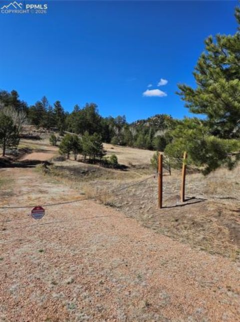 Photo of 717 Canyon Drive, Florissant, CO 80816 (MLS # 7289660)