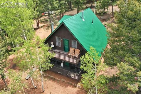 Photo of 826 Troy Drive, Cripple Creek, CO 80813 (MLS # 5934066)
