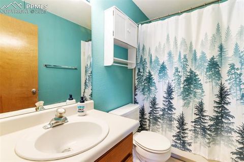 Tiny photo for 747 Pinon Ridge Drive, Woodland Park, CO 80863 (MLS # 4812165)