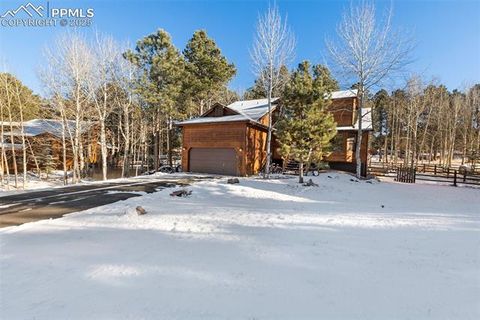 Tiny photo for 747 Pinon Ridge Drive, Woodland Park, CO 80863 (MLS # 4812165)